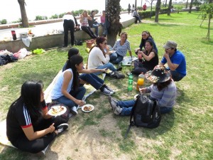 Picknick-JMEO-Lima