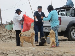 Honden-ingeënt